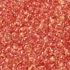 Transparent Glass Round Seed Beads X1-SEED-B001-05A-24-3