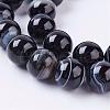 Natural Black Agate Beads Strands G-K173-06-10mm-2