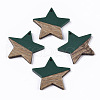 Resin & Wood Pendants X-RESI-T023-23E-1