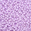 6/0 Glass Seed Beads SEED-T005-14-B06-3