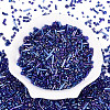Electroplate Glass Seed Beads GLAA-SZC0007-01B-1