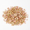 Back Plated Grade A Diamond Glass Pointed Rhinestone RGLA-SS6-023-2