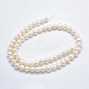 Natural Cultured Freshwater Pearl Beads Strands PEAR-F007-56-01-2