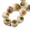 Natural Trumpet Shell Bead Strands SSHEL-N034-113-4