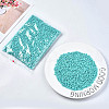 6/0 Glass Seed Beads SEED-S058-A-F437-2