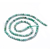 Natural Variscite Beads Strands G-C003-02-2