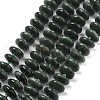 Natural Seraphinite Beads Strands G-A262-B02-01-2