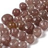 Natural Strawberry Quartz Beads Strands G-Q169-E06-01B-1