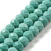 Dyed Natural Howlite Beads Strands G-G023-A01-01C-1