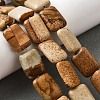 Natural Picture Jasper Beads Strands G-S386-A14-1