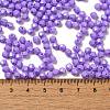 Baking Painted Glass Seed Beads SEED-C004-01T-4