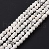 Natural Howlite Beads Strands G-H273-02C-2