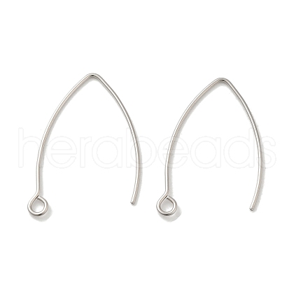 Non-Tarnish 316 Surgical Stainless Steel Earring Hooks STAS-P336-07B-P-1
