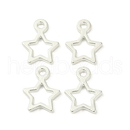 Tibetan Style Alloy Charms K0NYK021-1