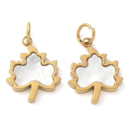 Maple Leaf Ion Plating(IP) 304 Stainless Steel with Shell Charms STAS-Q345-10G-1