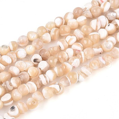 Natural Trochid Shell/Trochus Shell Beads Strands SSHEL-N040-10-1