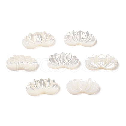Natural Trochus Shell Carved Beads SHEL-P017-12-1
