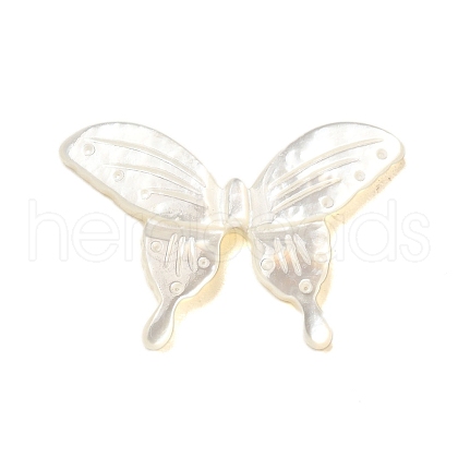 Natural White Shell Beads SHEL-M021-09B-1