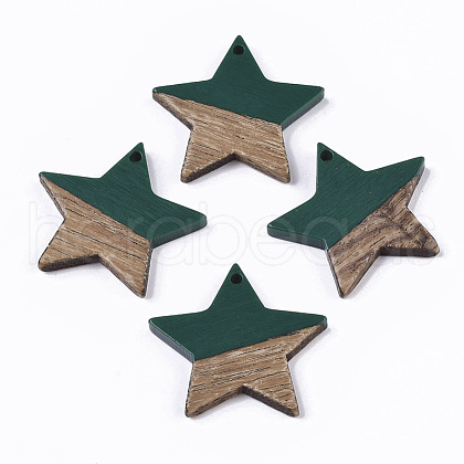 Resin & Wood Pendants X-RESI-T023-23E-1
