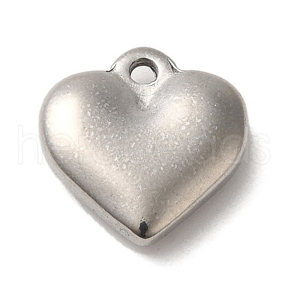 Non-Tarnish 304 Stainless Steel Pendants STAS-R223-02A-1