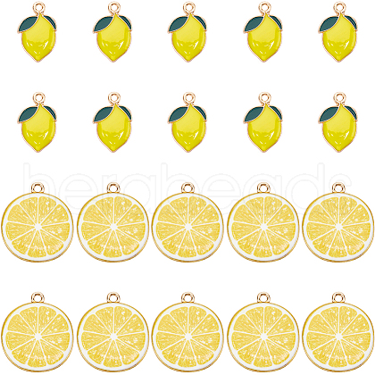 SUNNYCLUE 40Pcs 2 Styles Alloy Enamel Pendants ENAM-SC0005-71-1