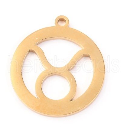 304 Stainless Steel Pendants STAS-O142-70G-B-1