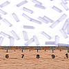 Glass Bugle Beads SEED-N007-28D-4
