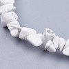 Natural Howlite Stone Bead Strands X-G-R192-15-3