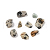  Natural Dalmatian Jasper Chip Beads G-M055-04-2