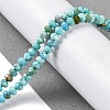 Natural Howlite Beads Strands G-H025-03C-01-2