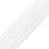 Natural Quartz Crystal Beads Strands G-P457-B01-26-1