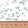 TOHO Round Seed Beads SEED-XTR11-2202-4
