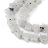 Natural Labradorite Beads Strands G-G085-B57-02-4