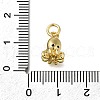 Brass Micro Pave Clear Cubic Zirconia Charms ZIRC-I070-076G-3