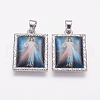 Alloy Glass Pendants PALLOY-J712-01P-2