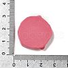 Resin Imitation Fruit Model DJEW-G047-01G-3