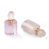 Natural Amethyst Pendants G-H252-E02-2