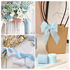 Polyester Chiffon Ribbon HULI-PW0002-054E-5