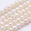 Natural Cultured Freshwater Pearl Beads Strands PEAR-F004-08-01-1