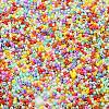 Baking Paint Glass Seed Beads X-SEED-S042-05B-50-3