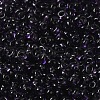 Transparent Colours Glass Seed Beads SEED-P006-02A-12-3
