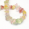 Natural Crackle Quartz Stone Bead Strands G-R192-B07-2