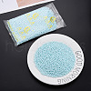 6/0 Glass Seed Beads SEED-T005-14-B19-2