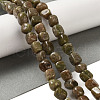Natural Unakite Beads Strands G-B078-D25-01-2