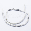 Natural Howlite Beads Strands G-K260-07A-2