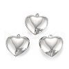 316 Surgical Stainless Steel Pendants STAS-C026-15A-P-1