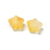 Frosted Acrylic Charms OACR-M023-04K-2