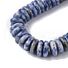 Natural Blue Spot Jasper Beads Strands G-F743-06L-4