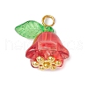 30Pcs Glass Pendants PALLOY-JF04000-01-3