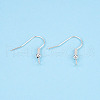 Iron Earring Hooks EC135-S-01-NR-1